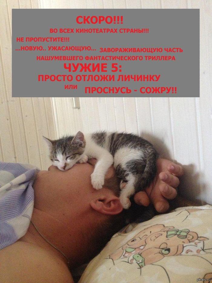    . ))   Paint'  ,  .   ,     ()... :)))