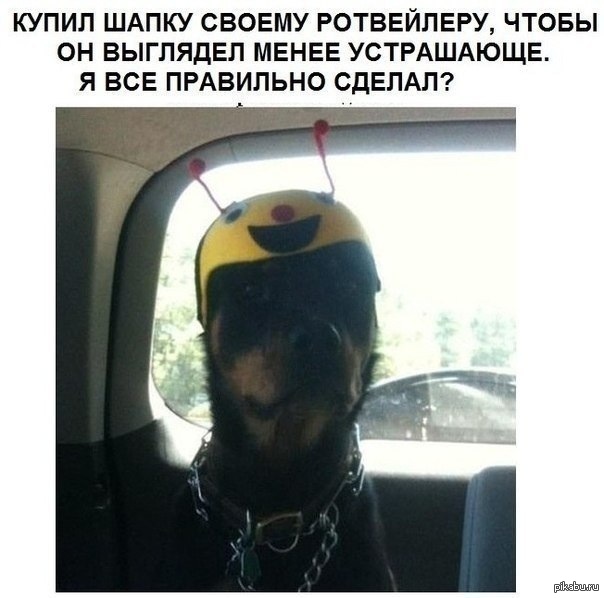 ) 