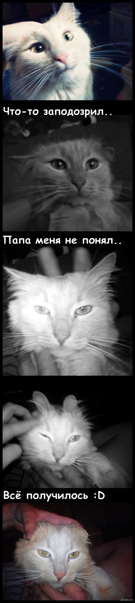     :D       ,   )  .    (  ),   ..  )