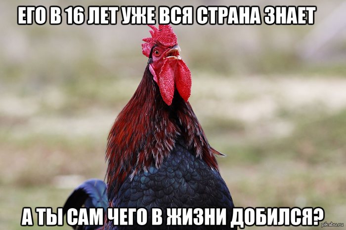   . 