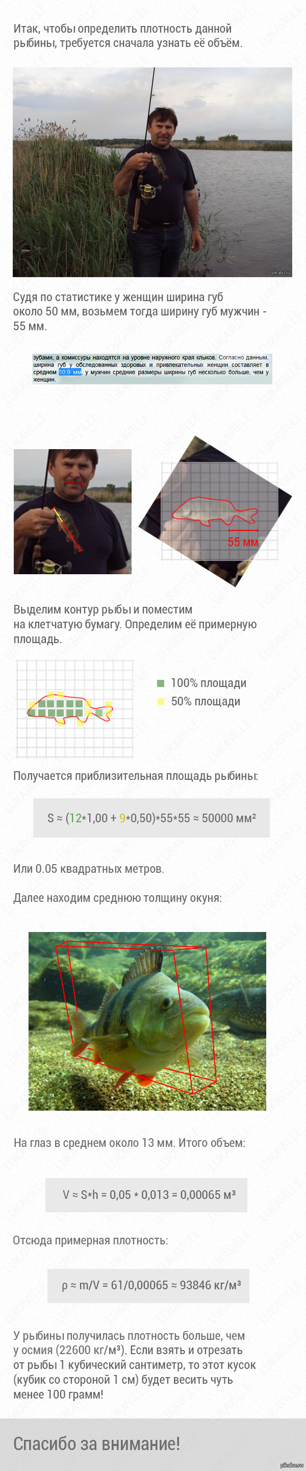   ,    <a href="http://pikabu.ru/story/ezdili_vchera_s_muzhikami_na_ryibalku_vyiudil_okunya_61_kg_1440906">http://pikabu.ru/story/_1440906</a>