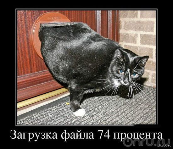 ...    .