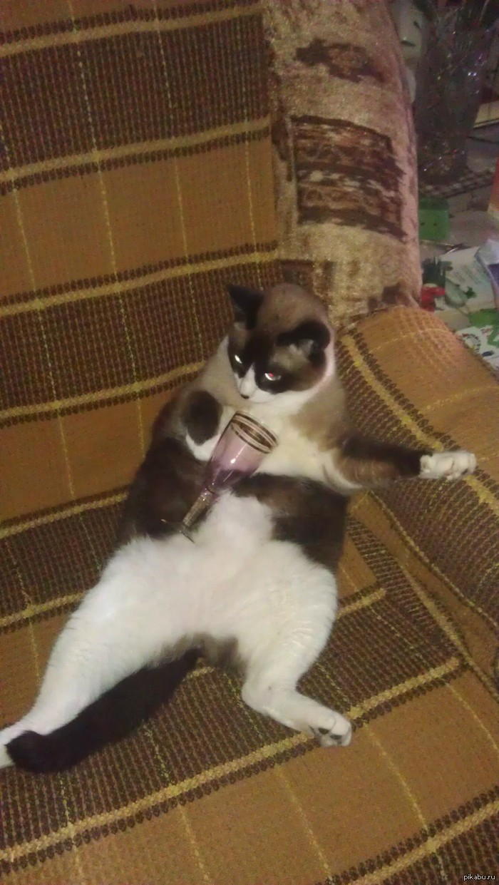     ...  ,    .